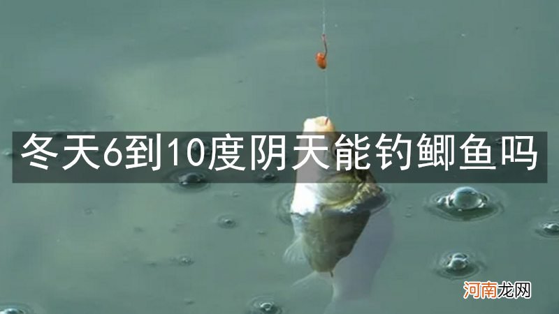 冬天6到10度阴天能钓鲫鱼吗