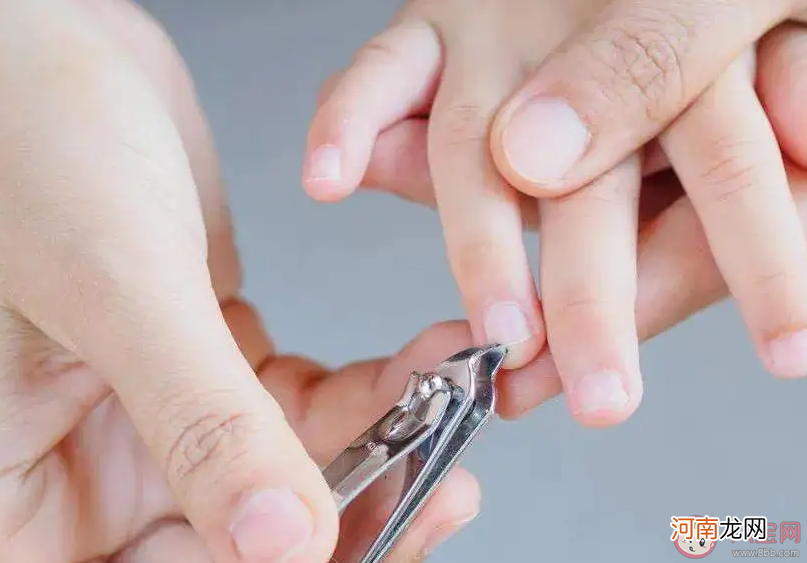 剪指甲时|为什么剪指甲时不会感到疼 蚂蚁庄园8月30日答案最新