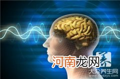 高三学生补脑吃什么东西好 高三生吃什么有补脑