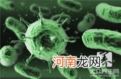 人类乳突病毒 人类乳突病毒图片