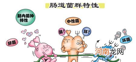 这么补益生菌孩子更聪明 小孩子积食可以吃益生菌吗