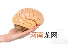 三叉神经在哪里？权威专家的介绍 三叉神经百度百科