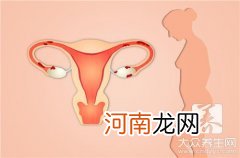 子宫移位有什么症状？ 子宫移位症是什么情况