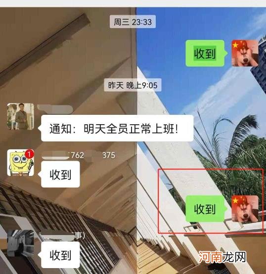 如何查微信表情给谁发过优质