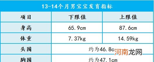 13个月男宝宝发育指标准 13-14月龄宝宝发育指标