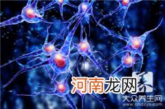 神经节细胞有几种类型 神经节细胞属于什么细胞