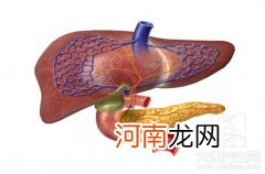 肝脏上有血管瘤应该怎么办 肝脏里面有血管瘤怎么办