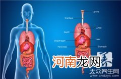 胆囊炎最好治疗方法介绍 治疗胆囊炎最好的方法