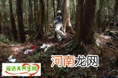 日本自杀森林是怎么回事 青木原树海死人图片好吓人