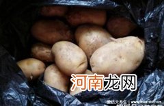 超市土豆怎么保存不发绿不长牙 土豆怎么保存不发绿不长牙