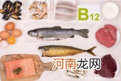 维生素b12的作用及功能介绍