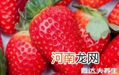 草莓应该怎么洗? 草莓怎么洗的正确方法