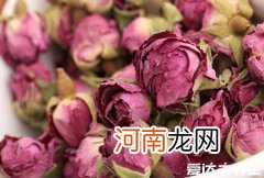 玫瑰花泡水喝的9大禁忌黑豆作用 玫瑰花泡水喝的9大禁忌