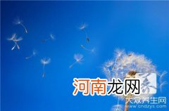 请问蒲公英怎么吃法 蒲公英怎样吃？正确方法是这样的