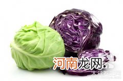 养心菜的用处 养心菜的功效有哪些