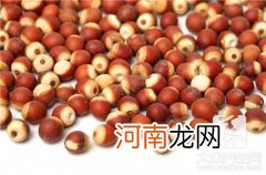 芡实米是什么植物 芡实米是什么