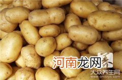 什么是淀粉类食物