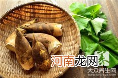 新鲜竹笋吃法大全 新鲜竹笋的做法与禁忌