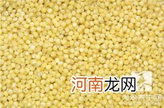 薏仁米的功效与作用及食用方法各是什么？