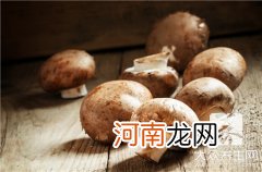 冬菇和蘑菇有什么区别 冬菇和香菇的区别