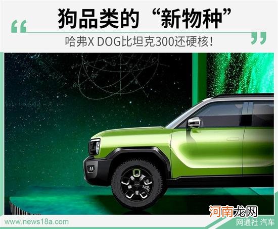 气质不输坦克300 哈弗X DOG或成新硬派座驾