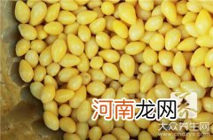 白果的用途及食用方法 白果的药用价值和食用方法