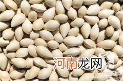 白果作用及食用方法用 白果的使用方法有什么