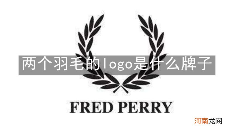 两个羽毛的logo是什么牌子