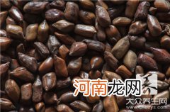 决明子枕头的功效与作用及禁忌是什么？(决明子枕头的副作用与禁忌