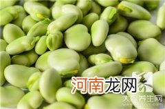 蚕豆长什么样子图片 蚕豆的图片