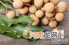 龙眼蜜的功效和营养价值 龙眼蜜的功效与作用是什么