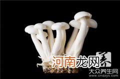 五花肉卷金针菇怎么做好吃 五花肉卷金针菇是怎么做出来的