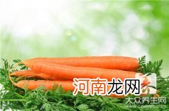 东北山胡萝卜的功效与作用 山胡萝卜的功效与作用