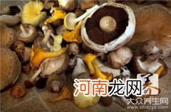 牛奶炖香菇做法是怎样的？