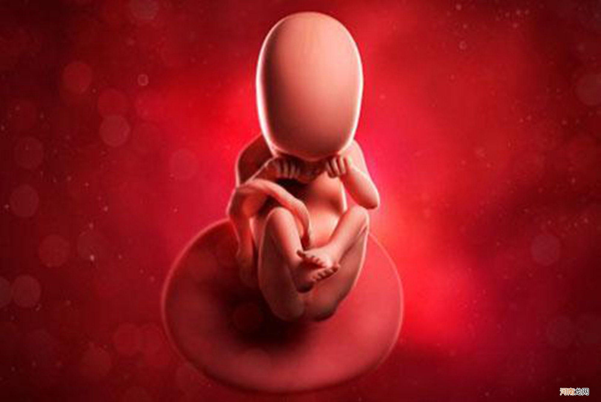 怀孕后,应该喝牛奶还是酸奶?别喝错了,看看营养学家建议