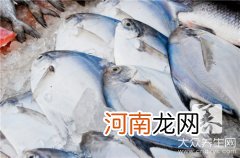 海里啥鱼好吃 海里什么鱼好吃