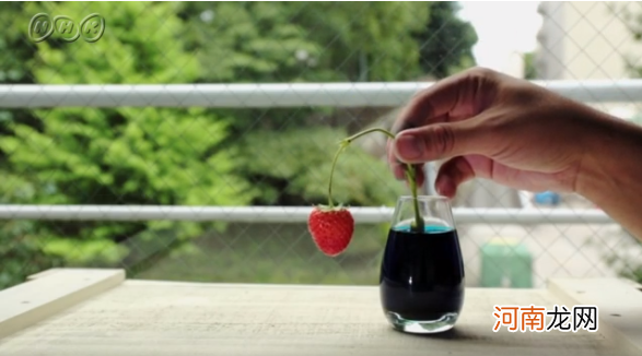 孩子对科学没兴趣？看日本节目《科学的见方》，科学小白也能胜任