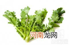 芥菜是什么科 芥菜是什么？