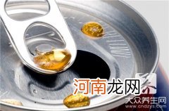 如何制作汽水 汽水的做法