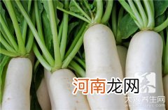 萝卜条泡菜做法 泡萝卜条的做法大全有哪些？