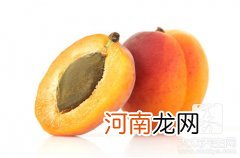 杏子是热性还是凉性的食物  杏子是热性还是凉性