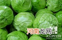 鲜咸软烂栗子扒白菜 扒栗子白菜是哪个地方的菜