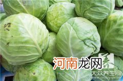 大白菜的营养价值及功效与作用对孩子 大白菜的营养价值及功效