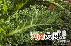 芥兰菜怎么做好吃 芥兰的做法