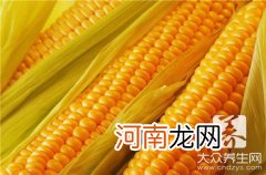 黄金玉米粒的做法大全窍门 黄金玉米粒的做法大全