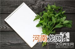 榆树钱怎么吃的功效与作用 榆树钱怎么吃能治病吗