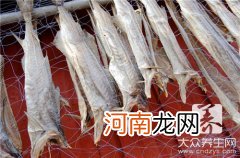 金枪鱼市场价格25斤卖多少钱一斤 金枪鱼市场价格