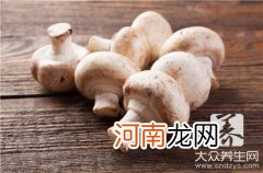 平菇的制作 平菇的做法大全介绍