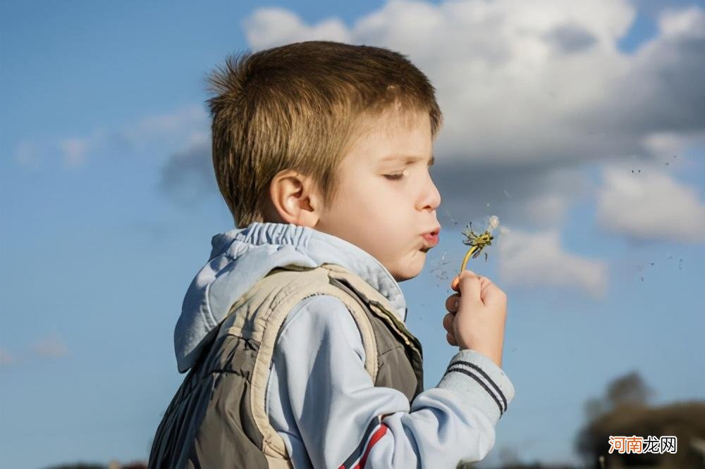 如何进行幼儿智力开发？最好方式并非早教，是父母的“感官教育”