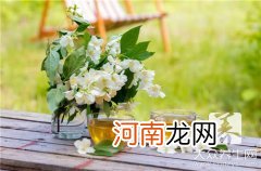 康师傅茉莉花茶价格 茉莉花茶价格